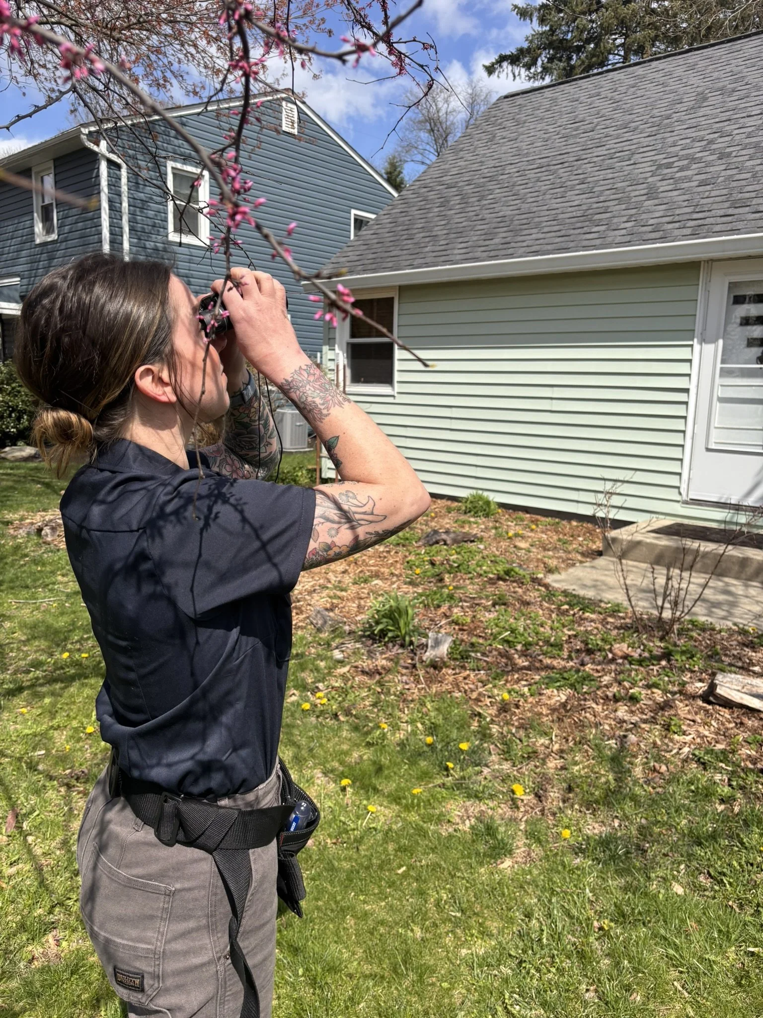 Standard Home Inspection