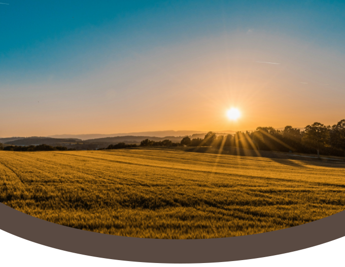 Sunset over a field of crops with trees and hills in the distance.