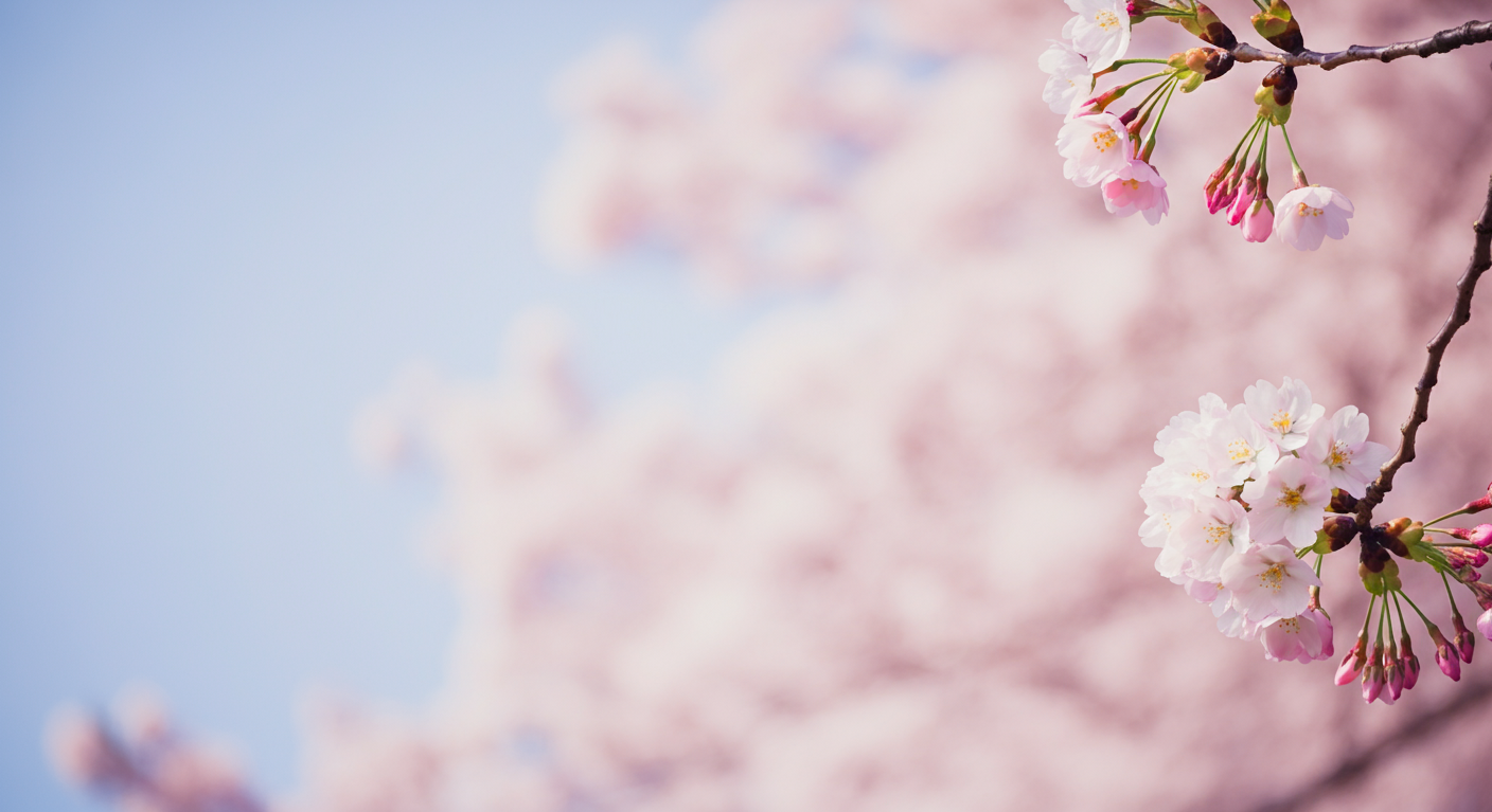 Cherry-Blossoms-3-imgg-gi3-57v7hv97.png