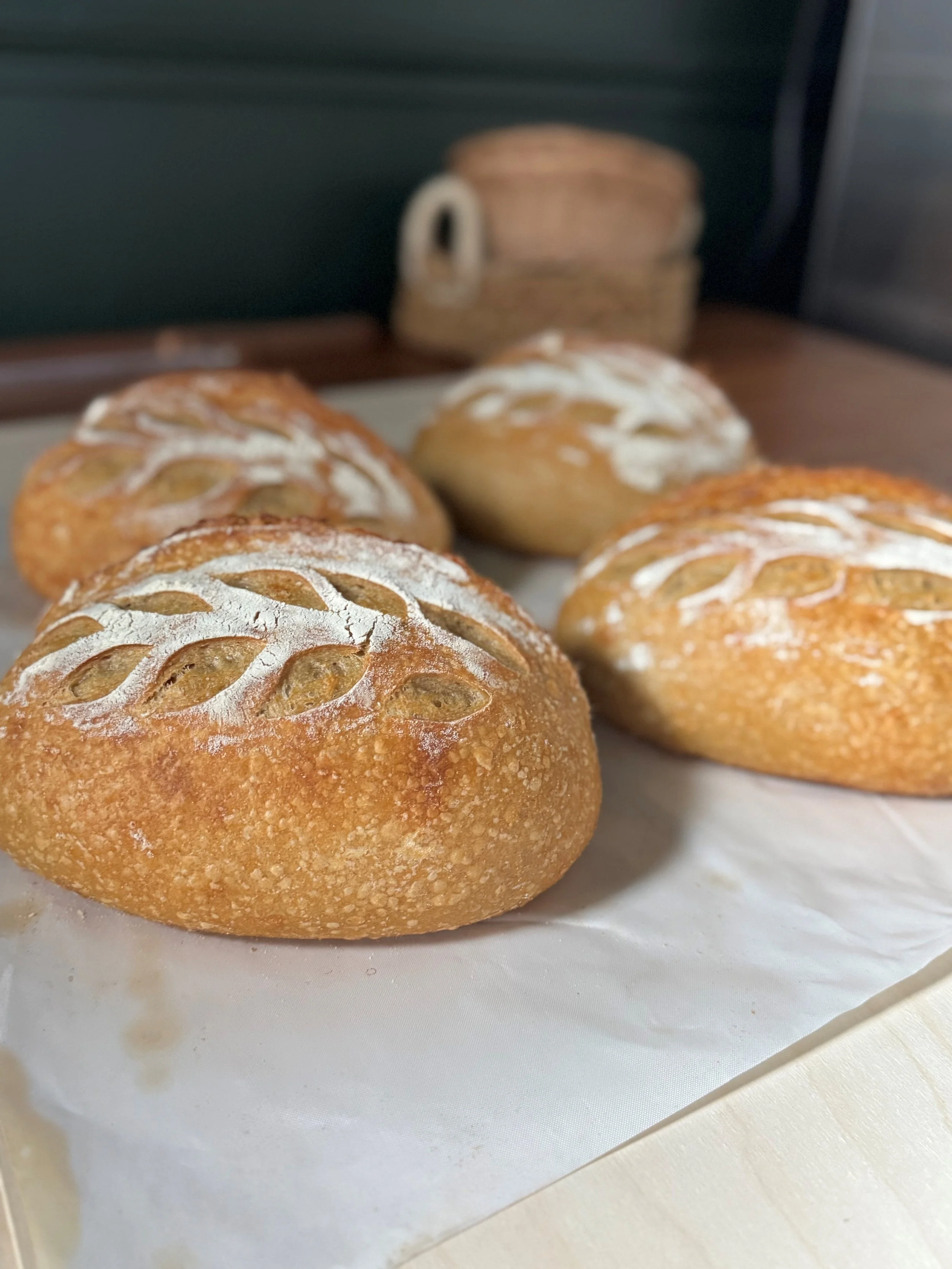 Four freshly baked bread rolls with a crispy crust and white flour dusting, resting on parchment paper.