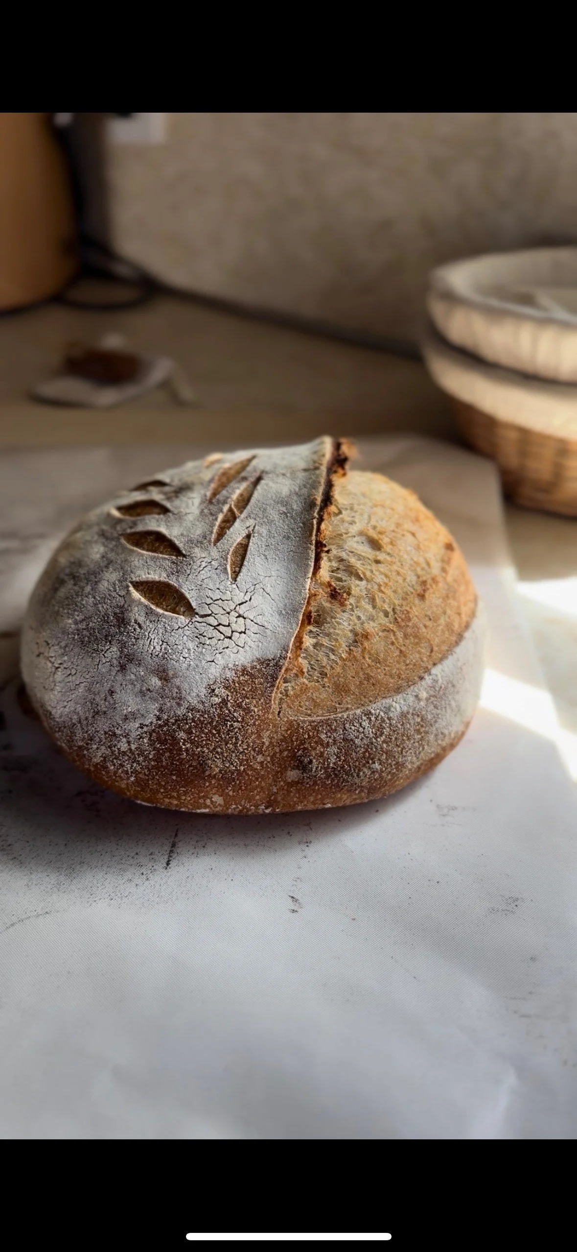 Everyday loaf.jpg