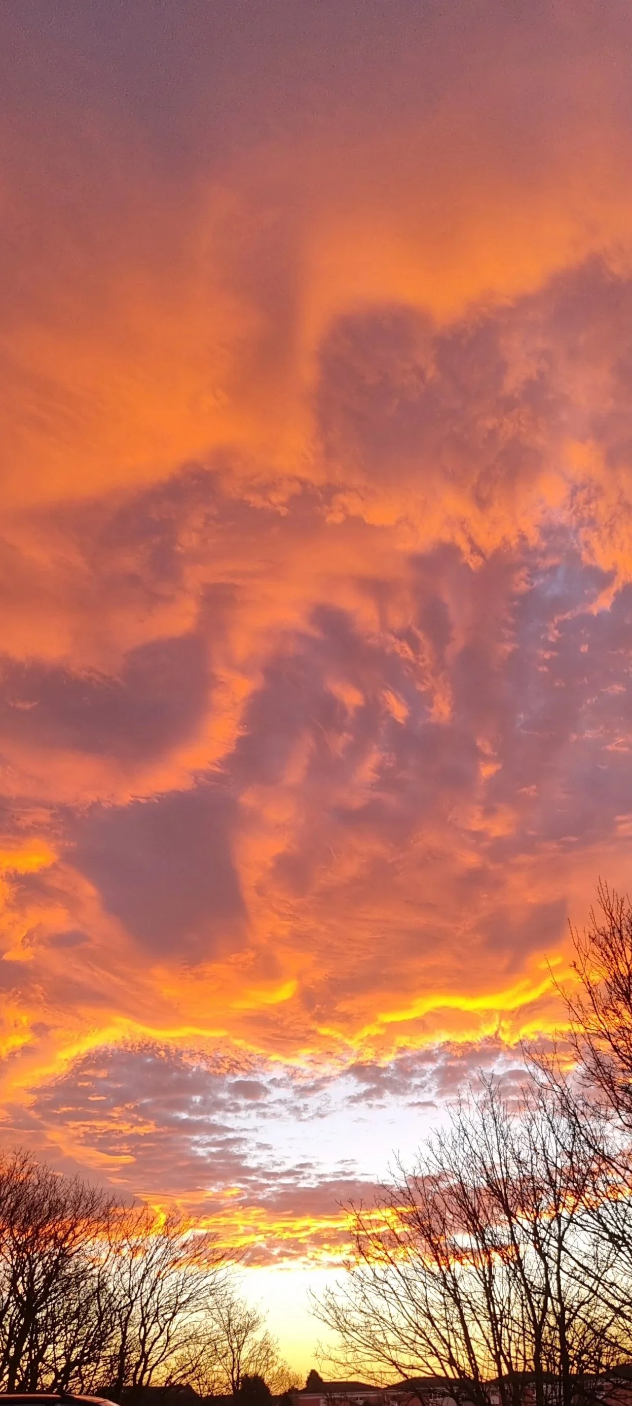 Colorful sunset sky with orange, pink, and purple clouds over leafless trees