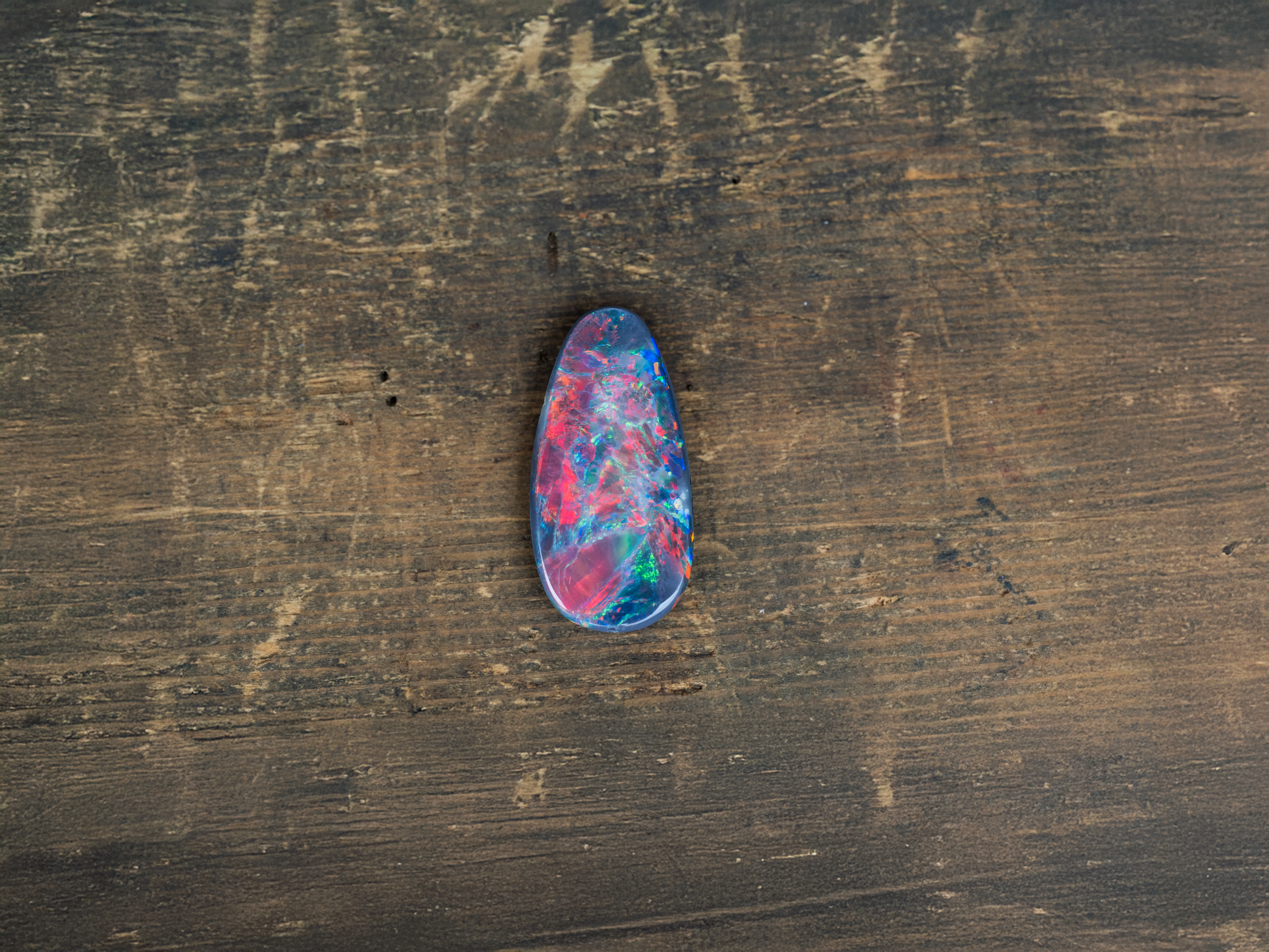 Michel_Abouchar_OPAL.png