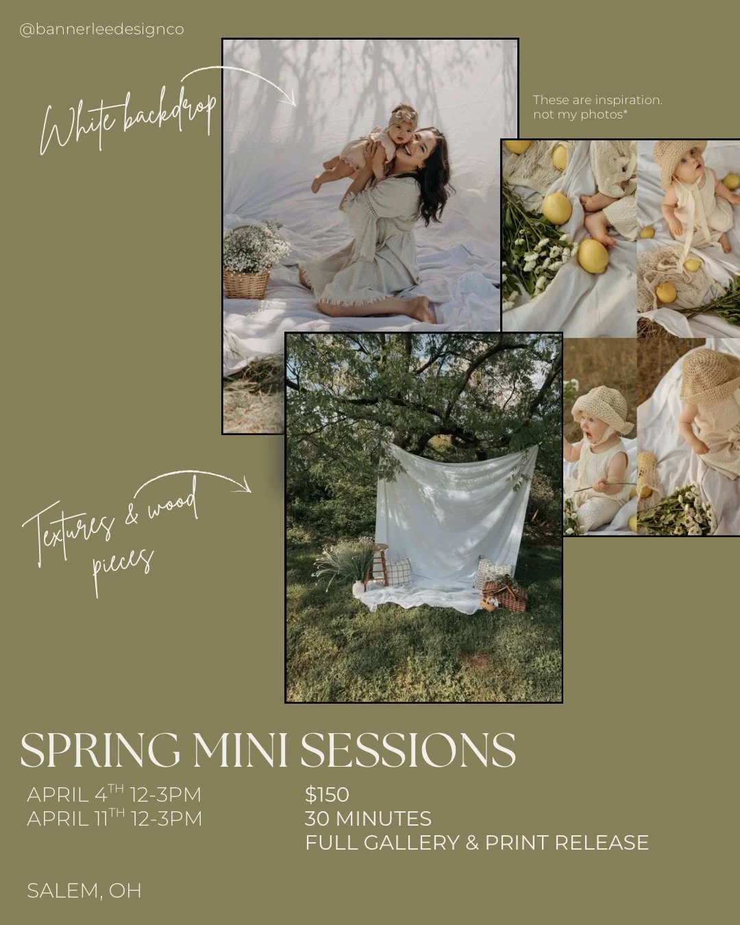 Spring Minis - Deposit Only