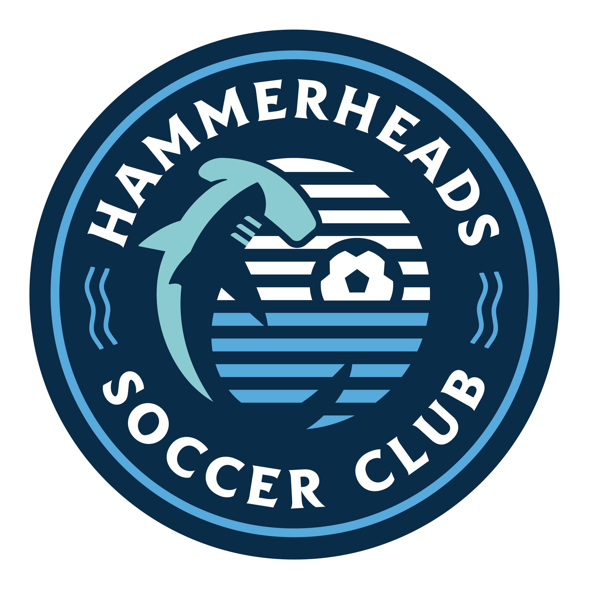 Logo of Hanmerheads Soccer Club featuring a stylized dolphin jumping over stylized water and a sun with horizontal lines, with the club name around the circle.