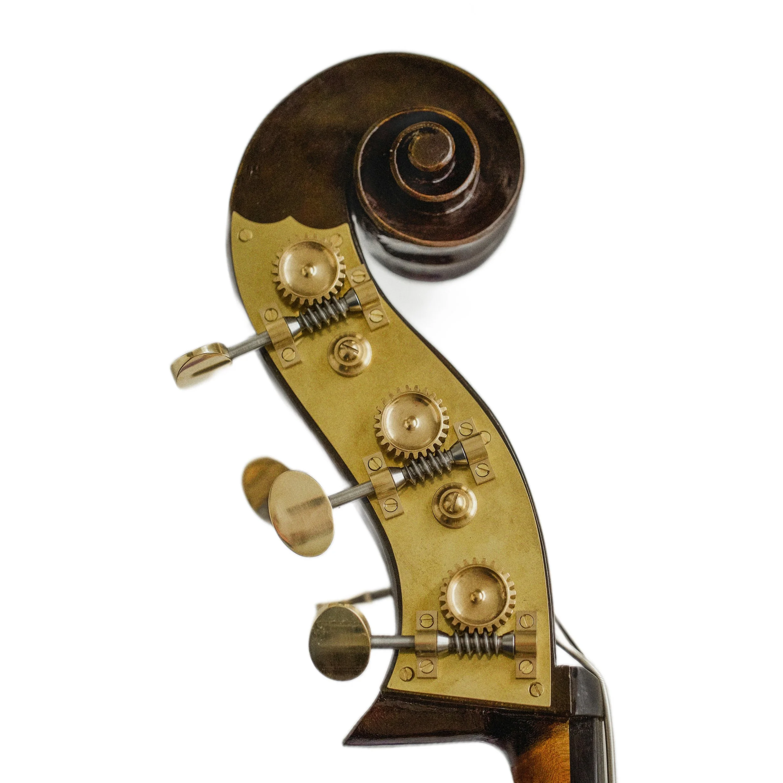 Heppleston 5 String scroll 2.jpg
