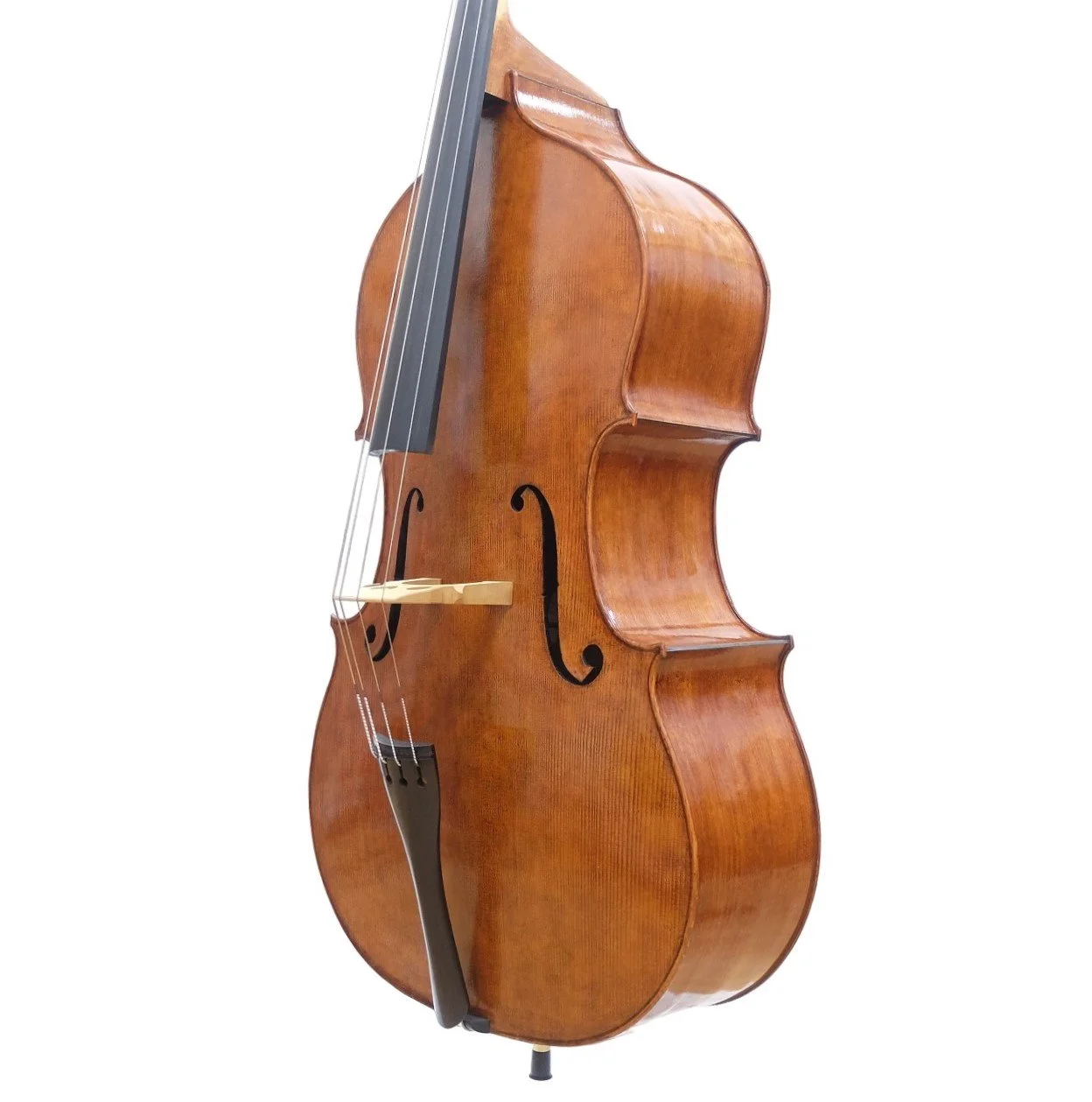 Heppleston Solo Double Bass Model side 2.jpg