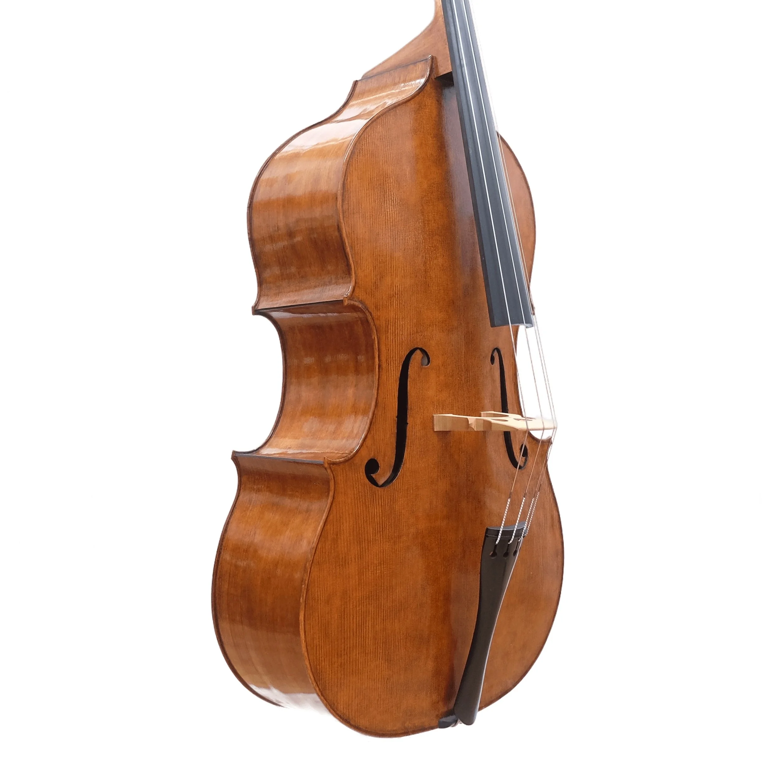 Heppleston Solo Model Double Bass Side 1.jpg