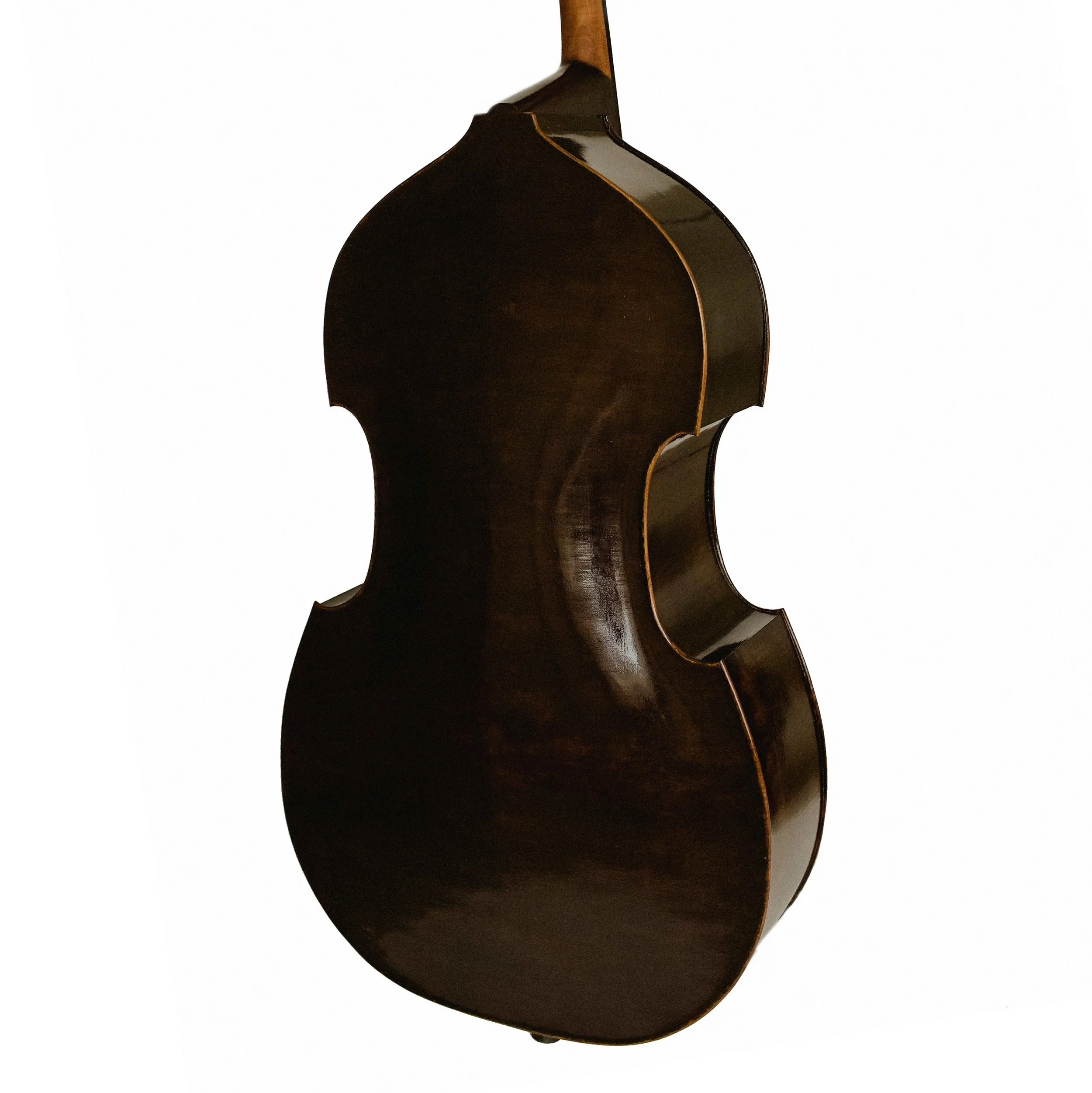 Heppleston 5 String side back.jpg