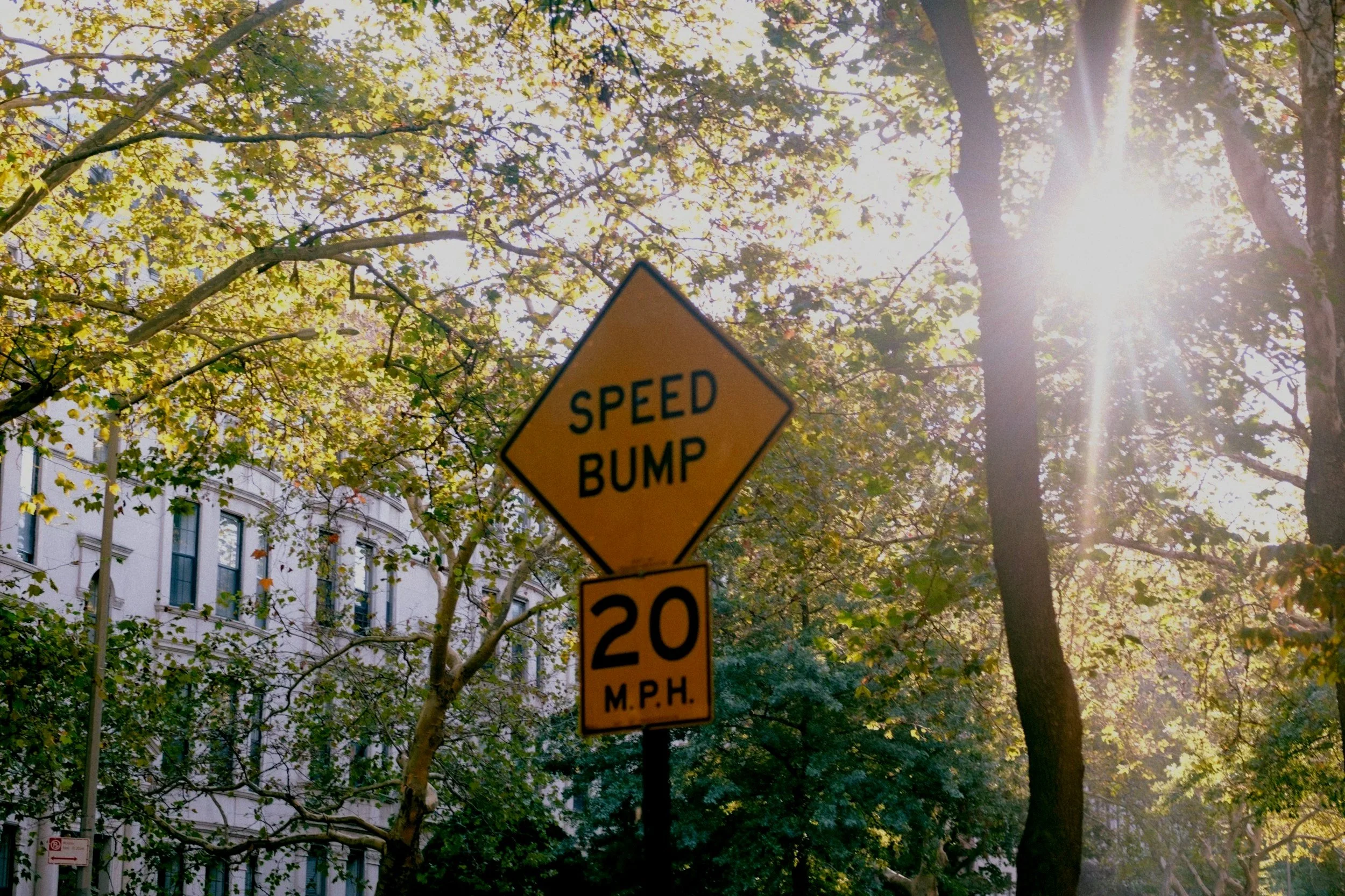 A yellow diamond-shaped traffic sign displaying "SPEED BUMP" and a rectangular sign below indicating a speed limit of 20 miles per hour, set among trees with sunlight shining through.