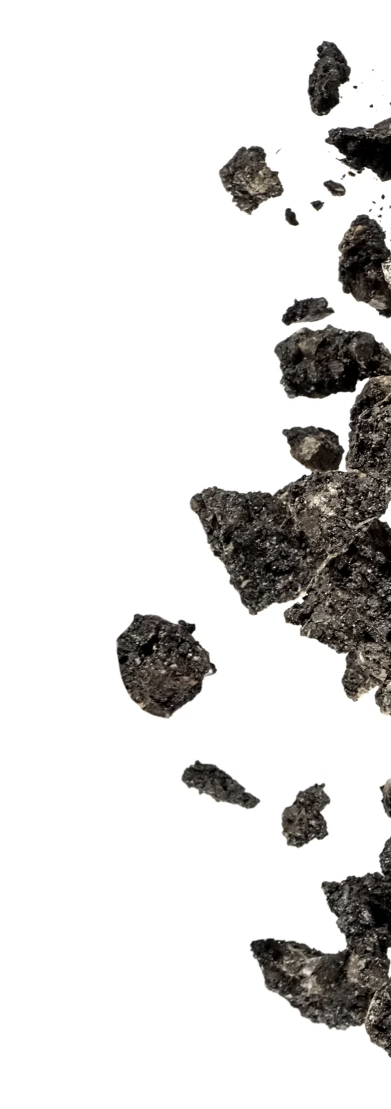Clumps of black soil or ash scattered on a white background.