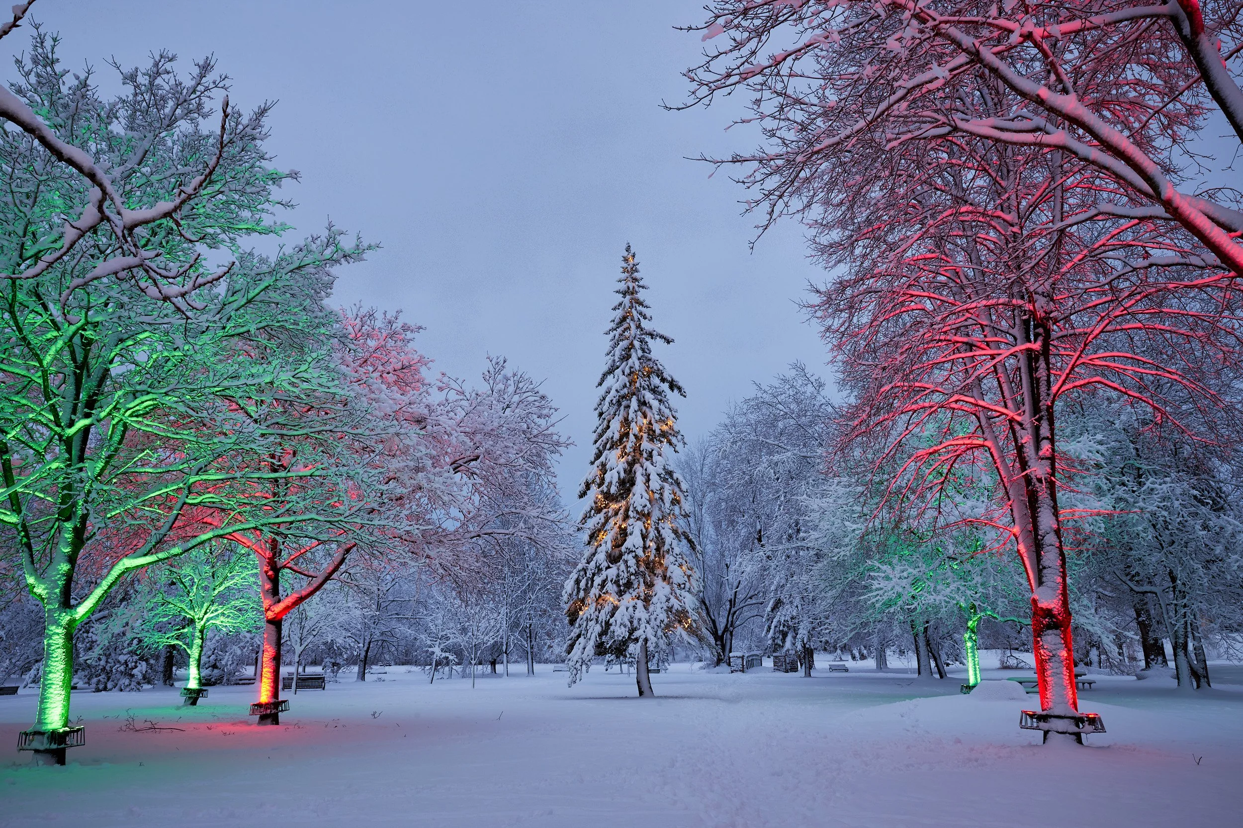 PerthTourism_SnowFall_0499_HDR.jpg