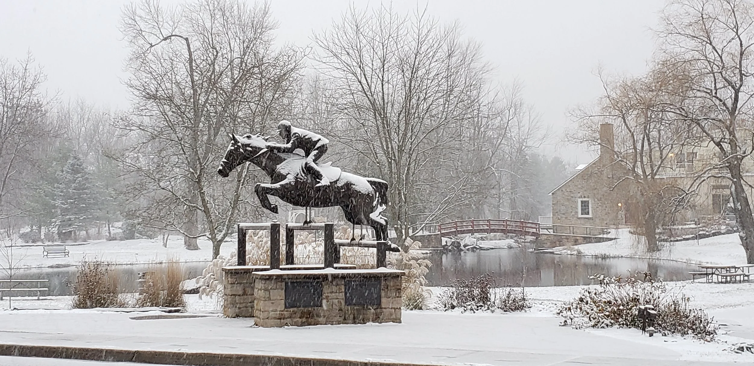 20201122_154934.jpg