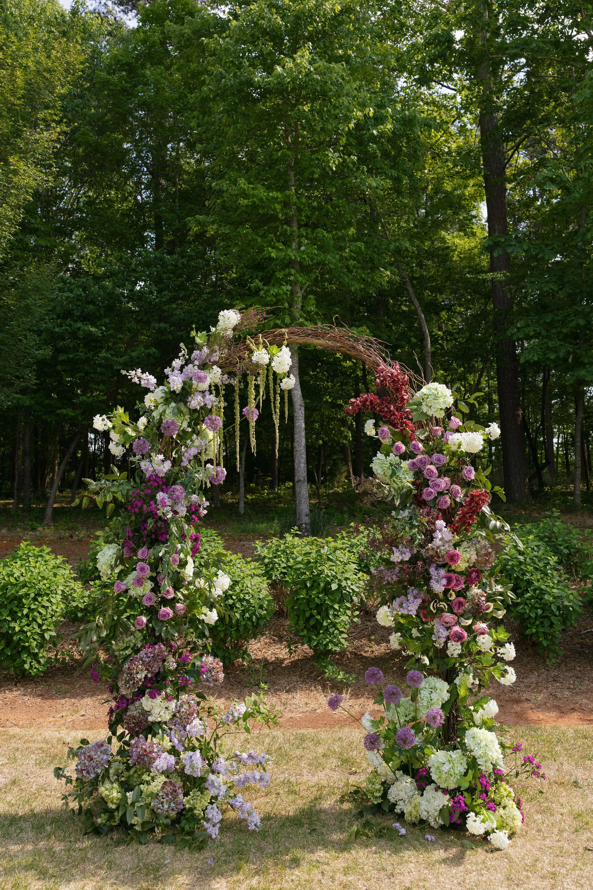  Grapevine crescent wedding arch covered in lavender roses, hydrangea, allium and burgundy orchids by Wild Flora 