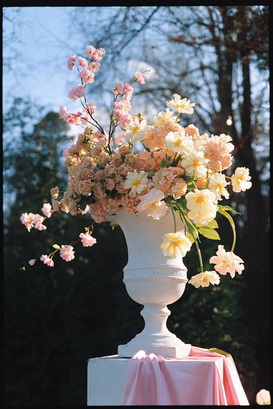 A white urn filled with pink and white flowers, possibly for decoration or event purposes, set outdoors with trees and sky in the background.