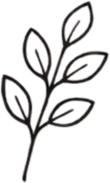 Outline drawing of a small branch with multiple elongated leaves.