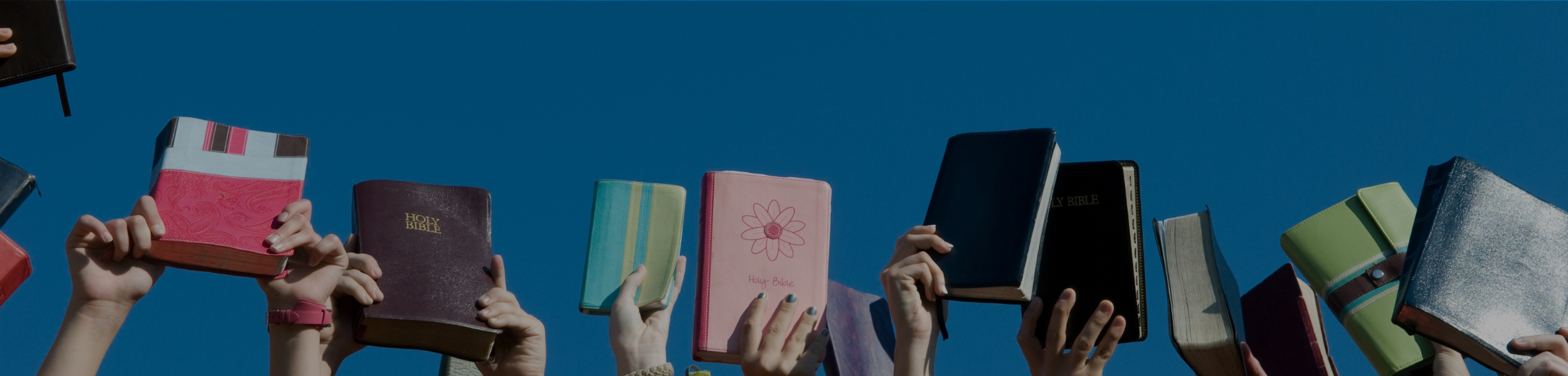 Multiple hands holding up various colorful Bibles and notebooks against a clear blue sky.