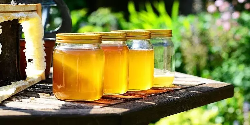 Vier Gläser mit Honig auf einem Holztisch im Garten.
