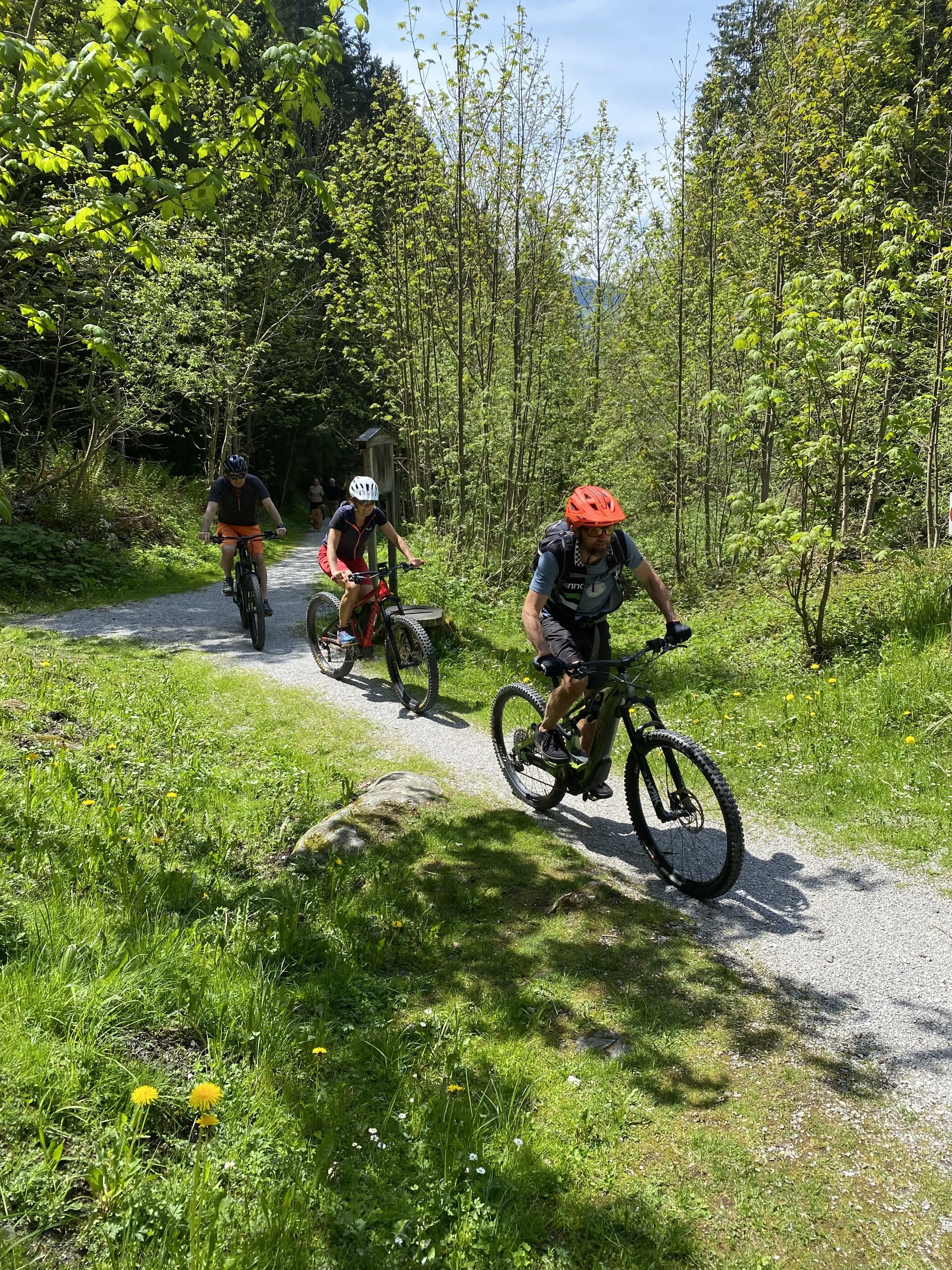 Drei Mountainbiker fahren auf einem schmalen Pfad durch einen grünen Wald, umgeben von Bäumen und Wiesen, bei sonnigem Himmel.