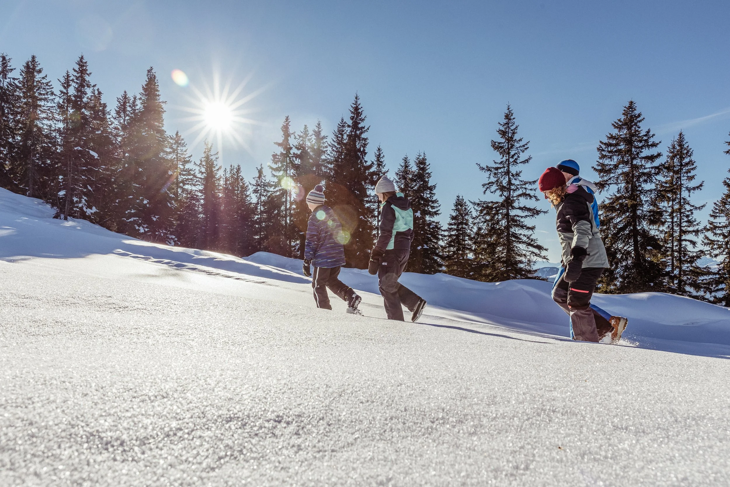 Vier Kinder beim Schneewandern in verschneiter Winterlandschaft unter klarem blauen Himmel, mit Sonnenlicht und Tannenbäumen im Hintergrund.