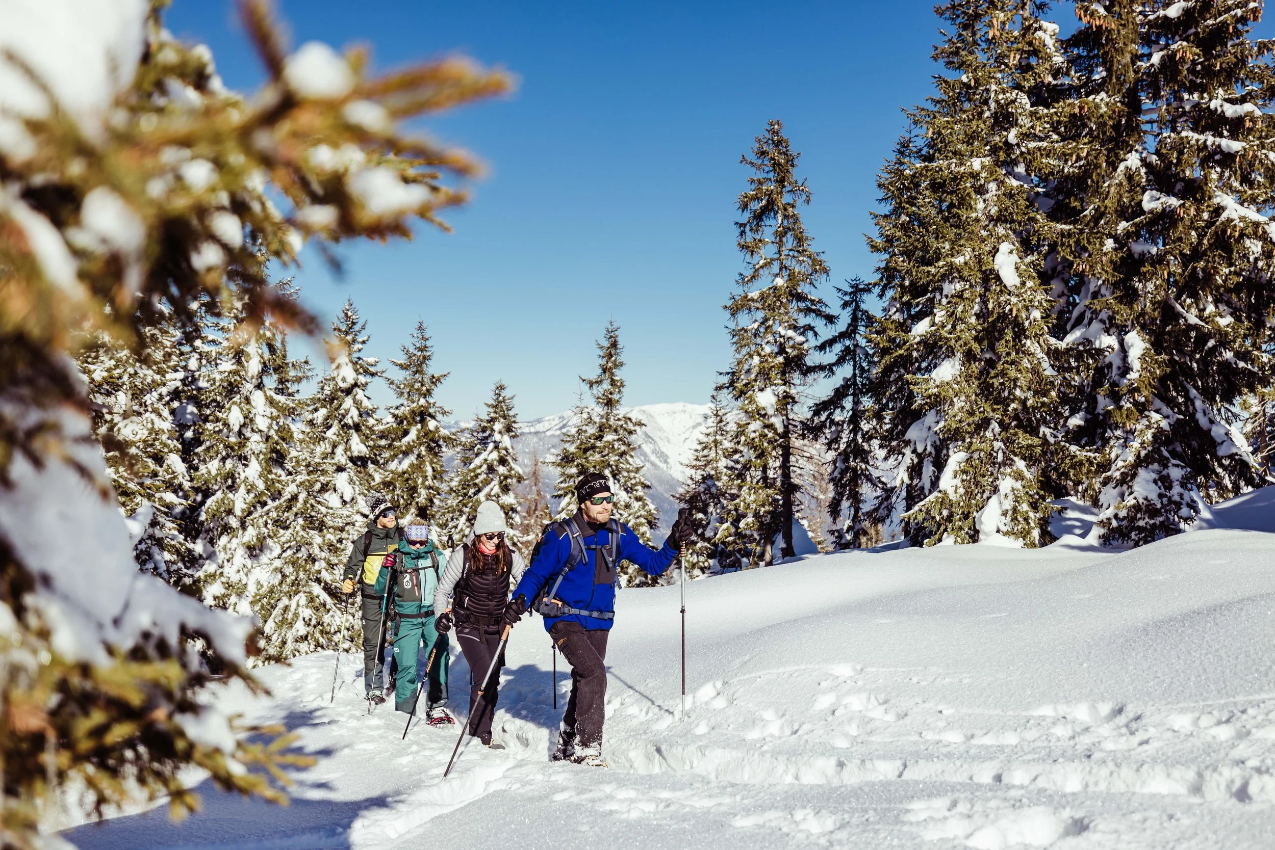 Vier Personen beim Schneeschuhwandern in verschneitem Wald mit Bergen im Hintergrund bei klarem Himmel.