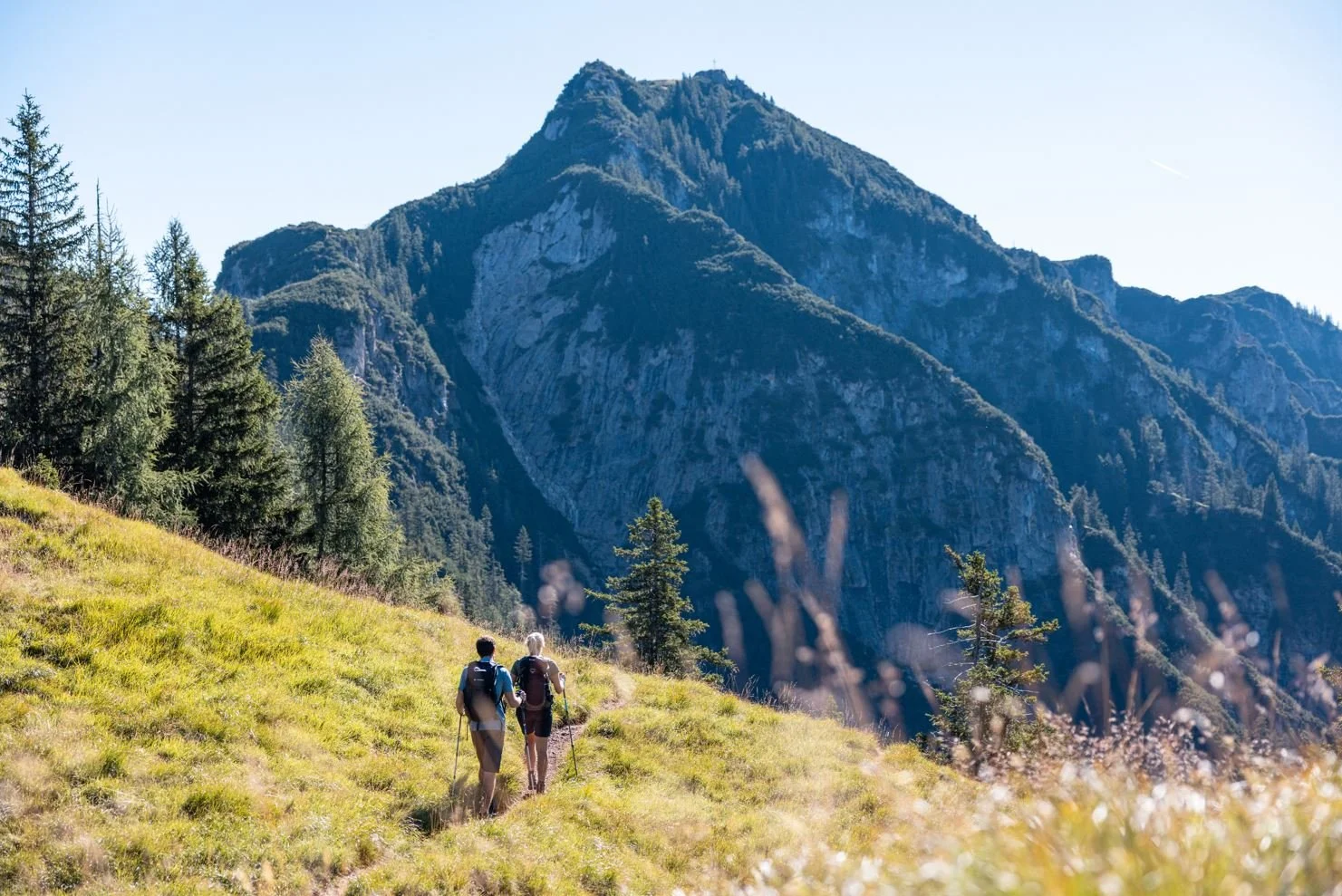 Zwei Wanderer auf einer grünen Bergwiese wandern in Richtung eines großen, felsigen Berges im Hintergrund bei sonnigem Wetter.