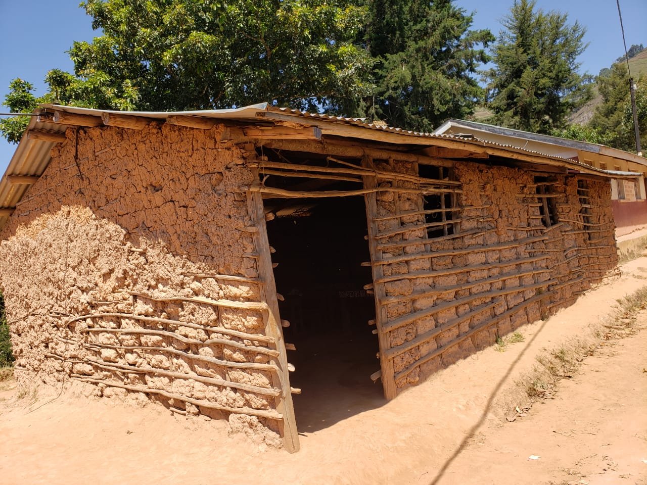 The school Program