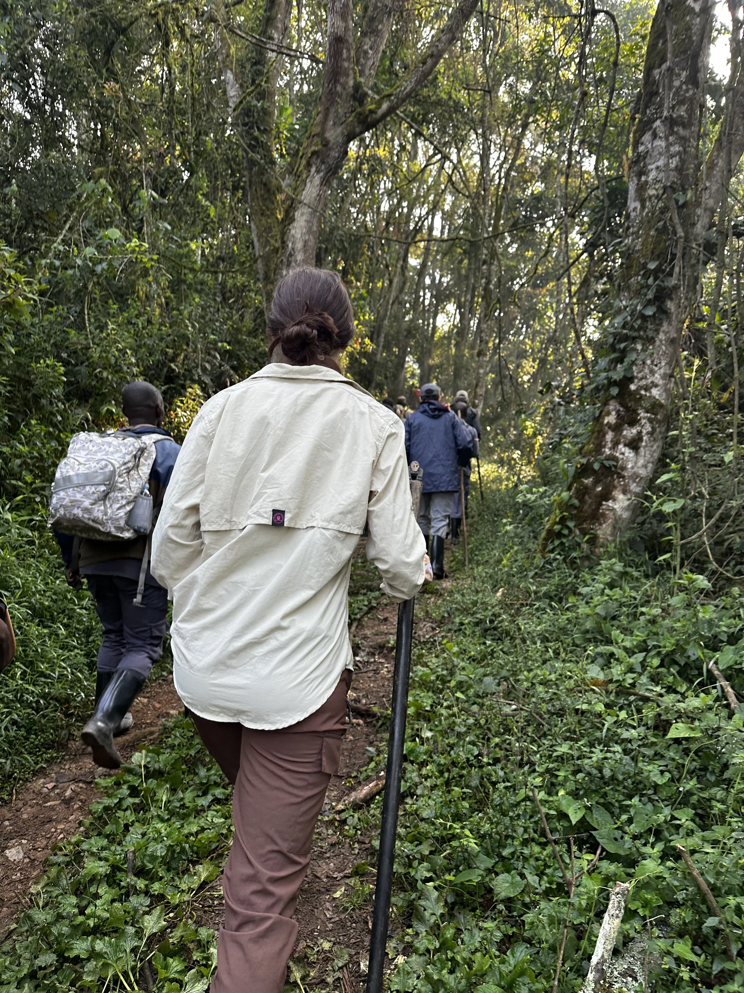 A group of people walking through a dense forest trail, surrounded by tall trees and green foliage.