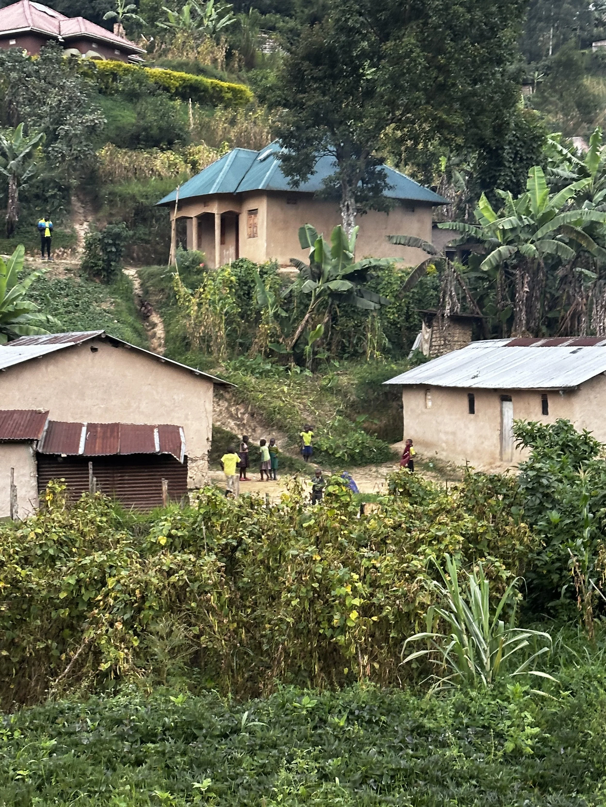 Hilly landscape with several houses, lush green vegetation, banana plants, and a group of people walking and standing near the houses.
