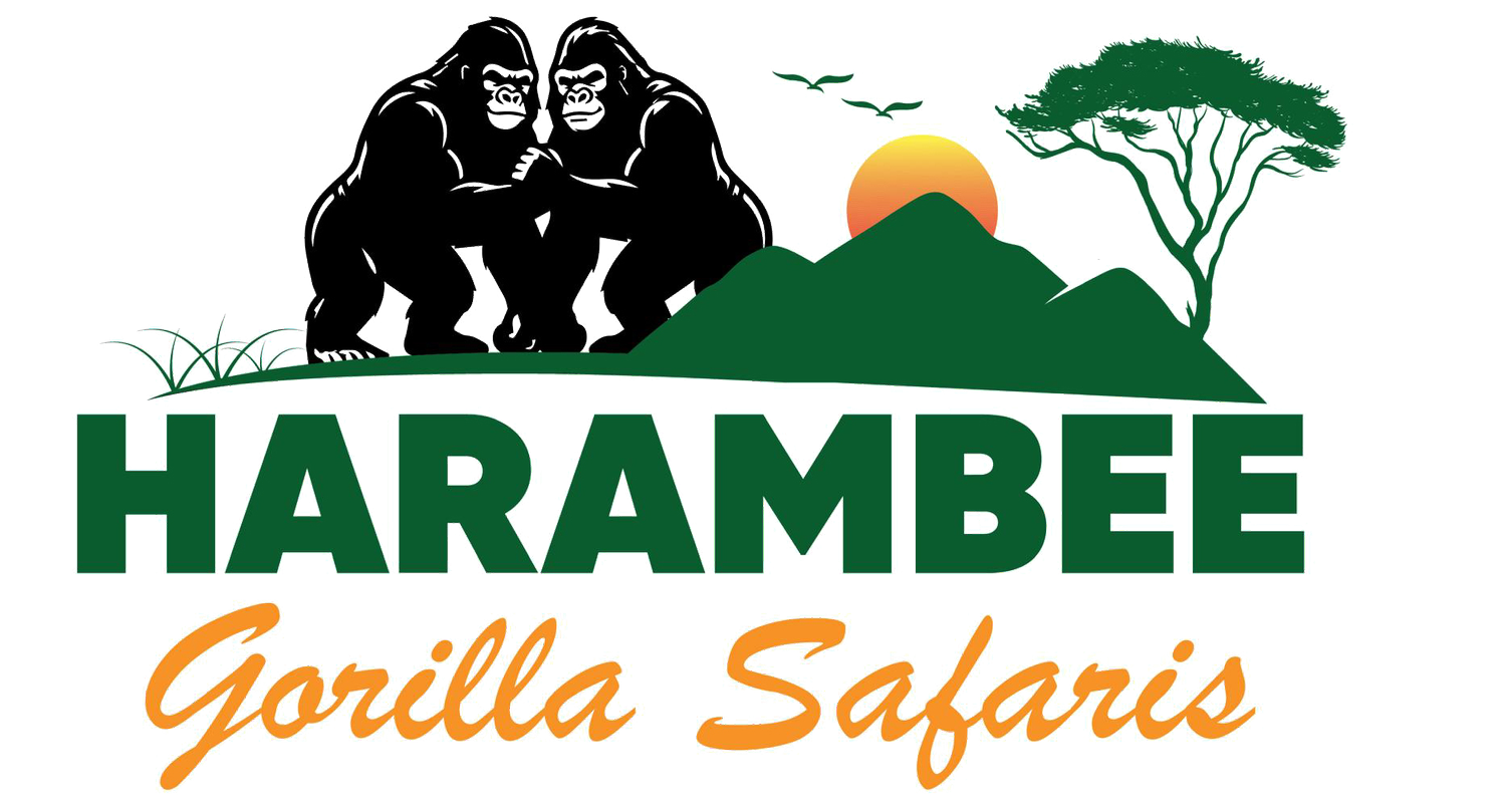 Harambee Gorilla Safaris | Together for the Wild