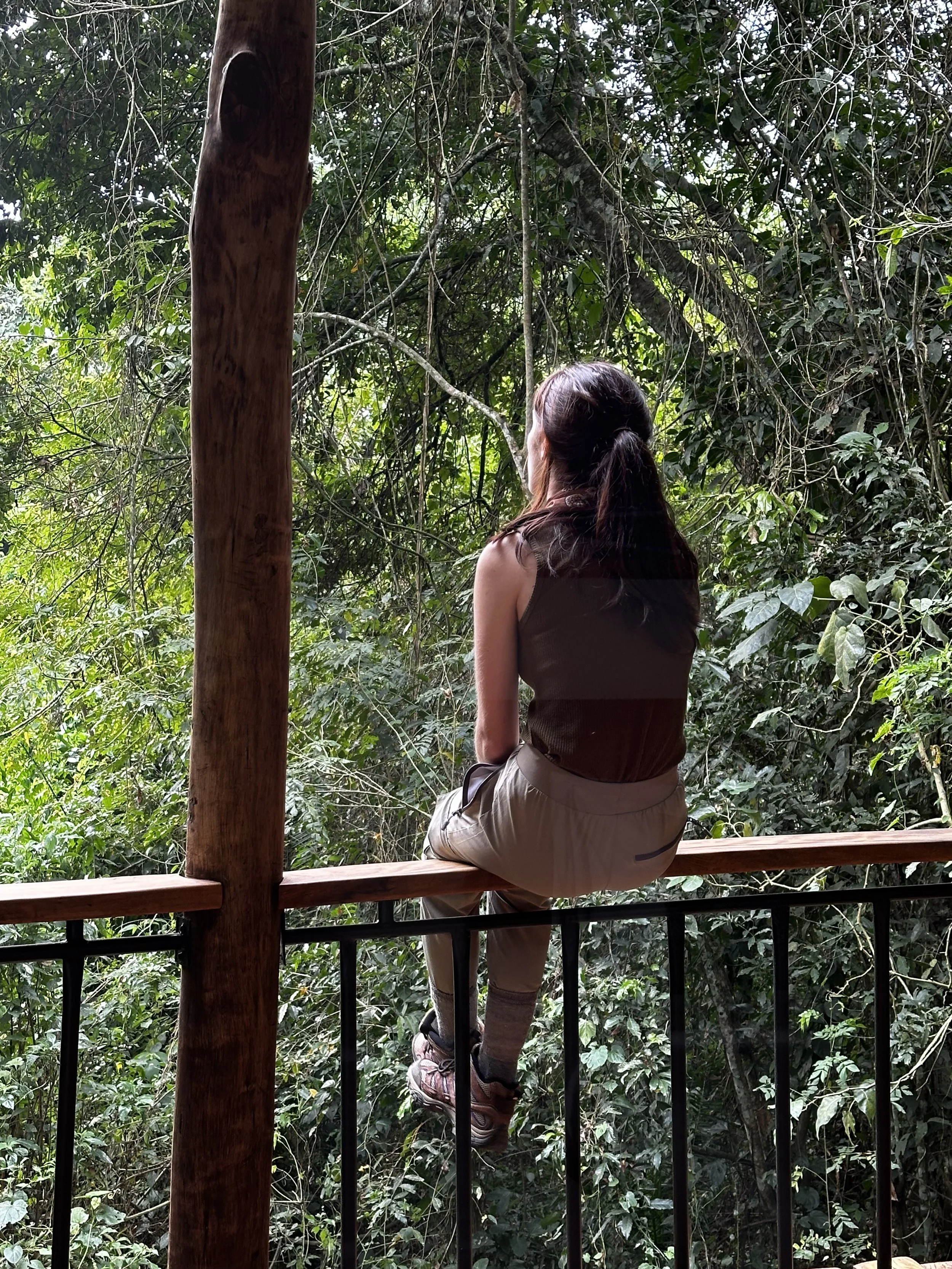 A woman sitting on a wooden and metal railing, gazing at a dense, green forest with vines and trees.