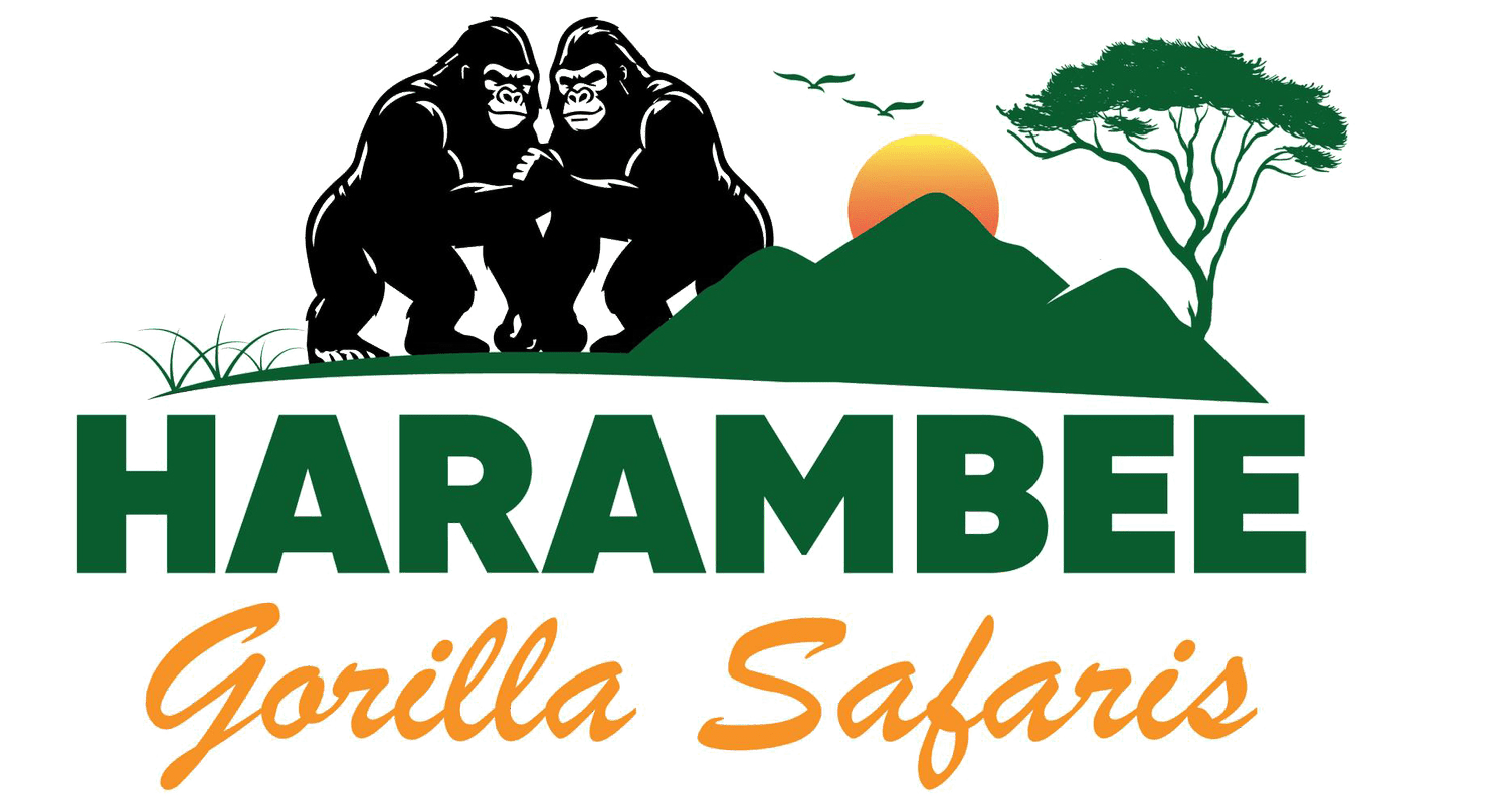 Harambee Gorilla Safaris | Together for the Wild
