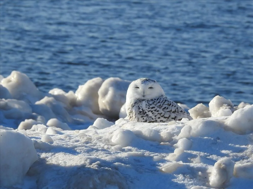 au_sable_township.jpg