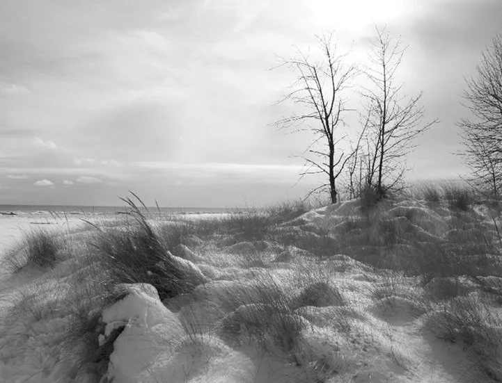 tawas_point_in_winter.jpg