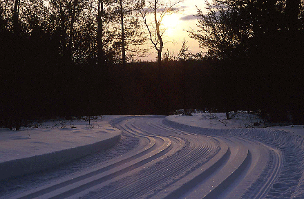 Corsair Hiking and Cross Country Ski Trail System
