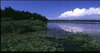 Onaway State Park &amp; Trail
