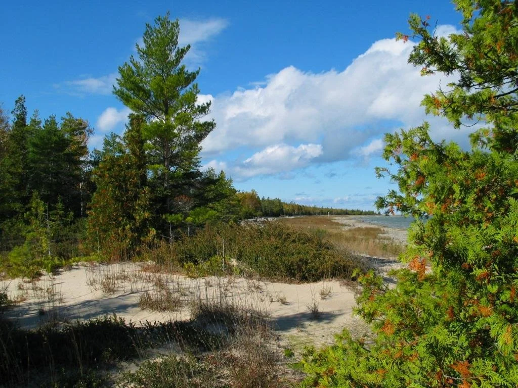 Thompson’s Harbor State Park Trail