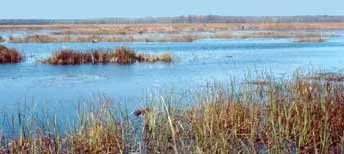 Wigwam Bay Wildlife Area