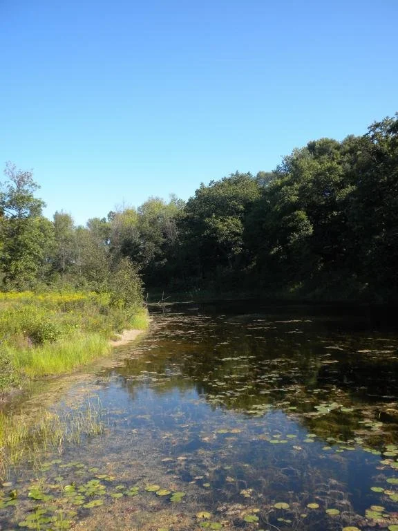 Riverbank Park, Oscoda