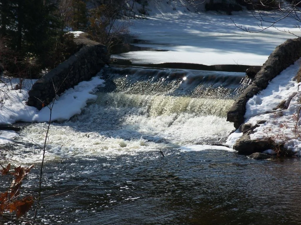 Herman Vogler Conservation Area