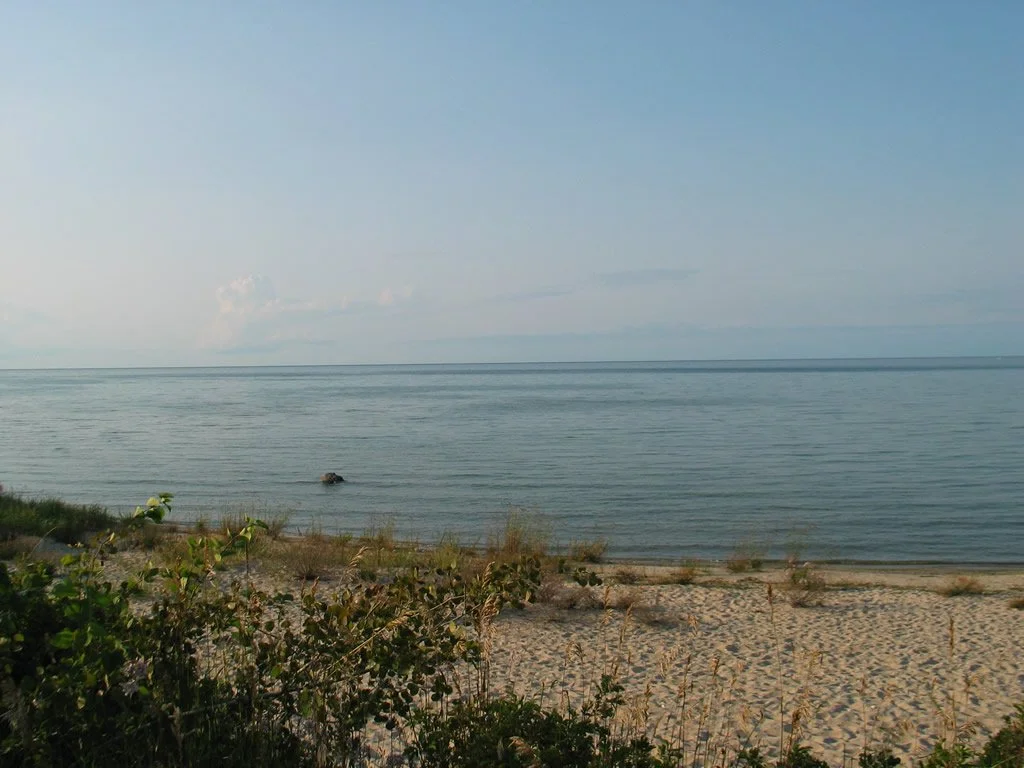 40 mile point lighthouse park 4.jpg