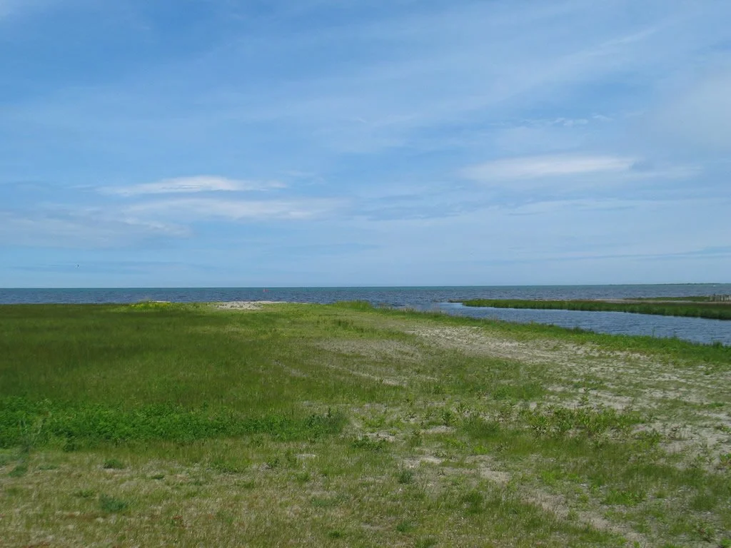 Alcona Township Park 2.jpg