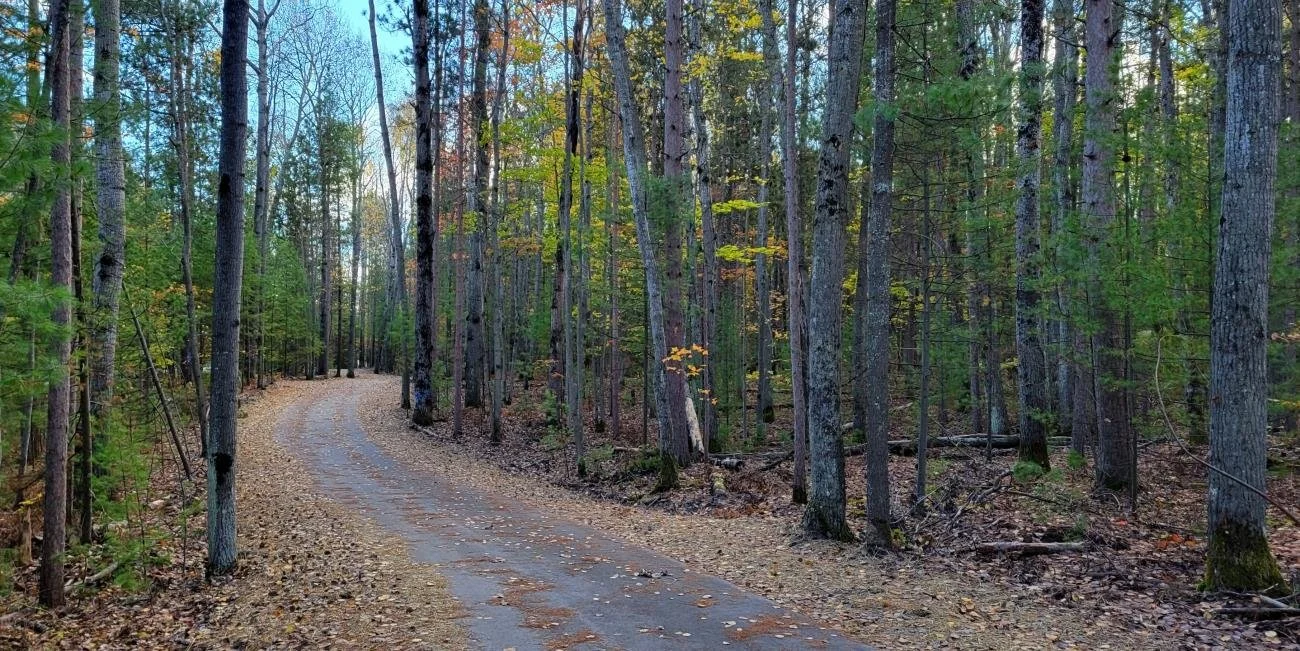 Burt Lake State Park 11.jpg