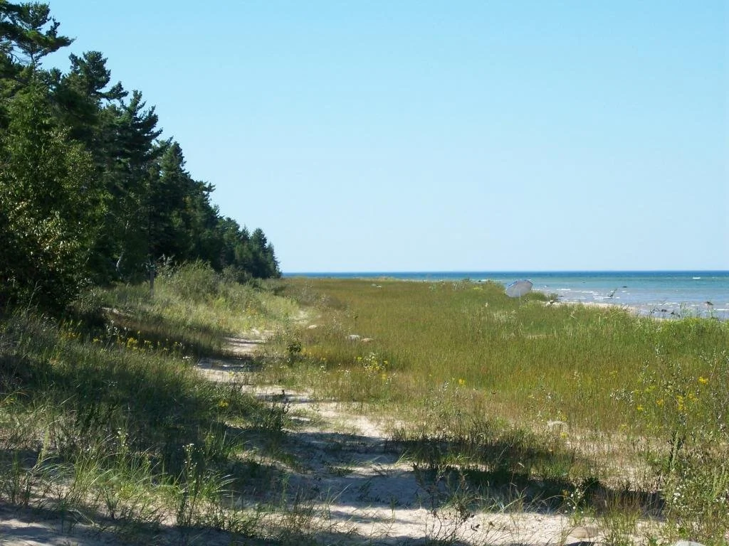 Cheboygan State Park 10.jpg