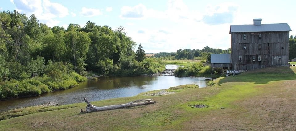 Hemlock Hills 2.jpg