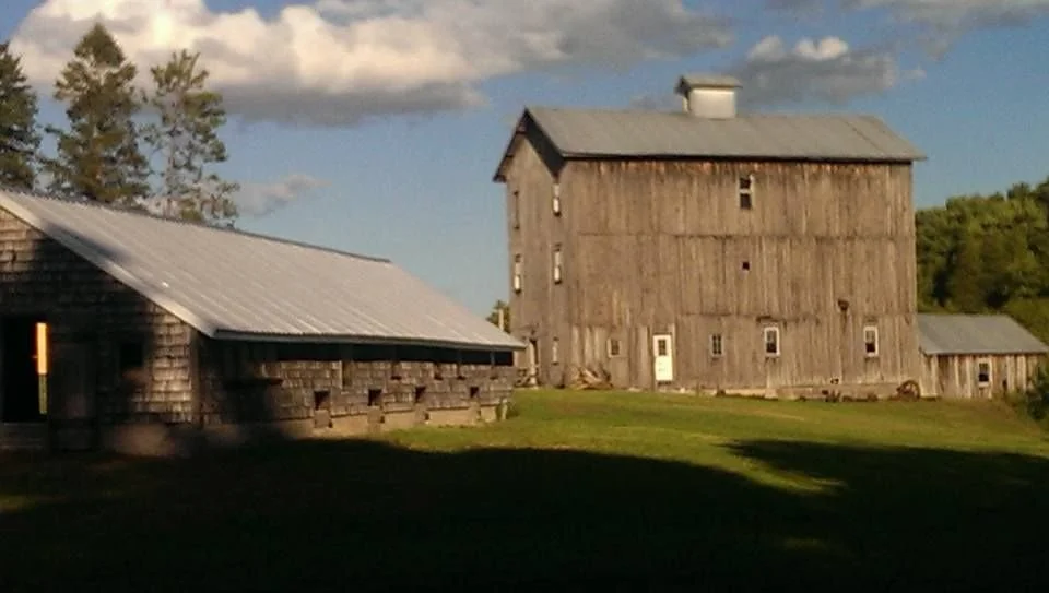 Hemlock Hills 9.jpg