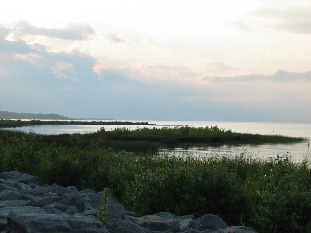 Gordon Turner Park 2.jpg