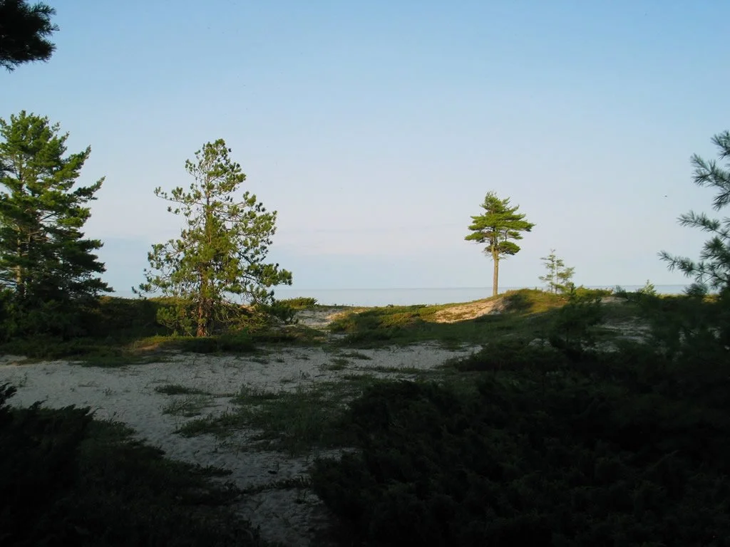 Hoeft State Park 11.jpg