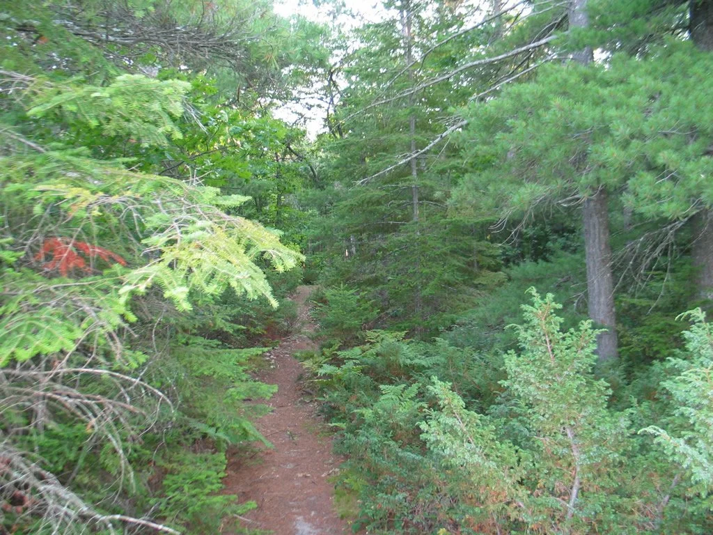 Hoeft State Park 12.jpg