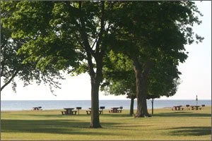 michekewis Park 3.jpg